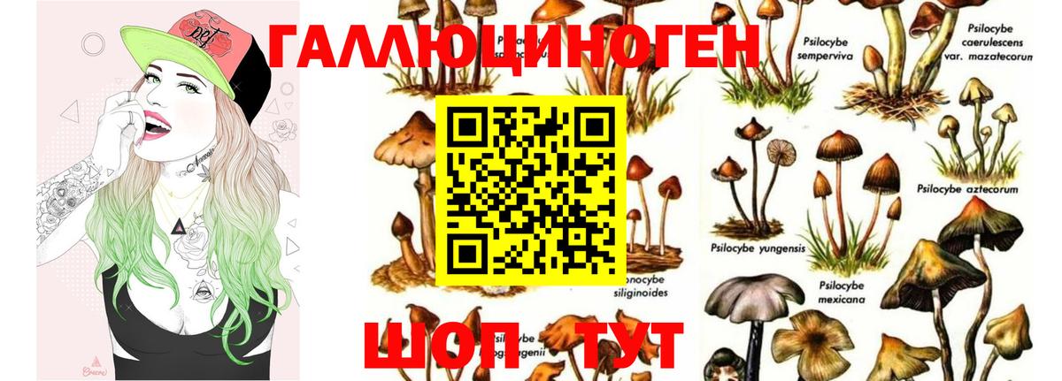 Псилоцибиновые грибы MAGIC MUSHROOMS  Вход с VPN  Якутск 