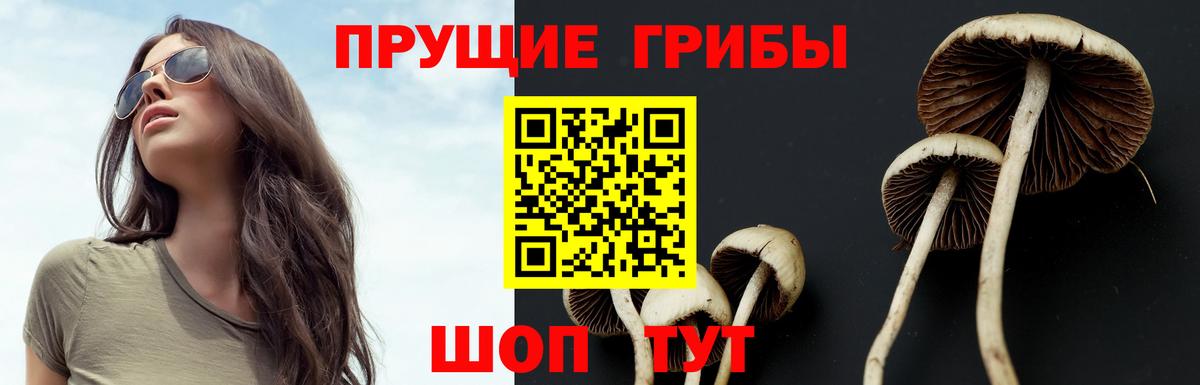 Галлюциногенные грибы ЛСД Якутск