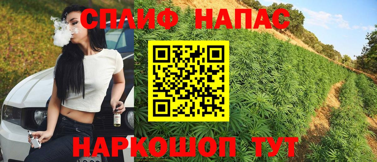 Бошки марихуана индика  Вход с VPN  Конопля MAZAR  Якутск  Бошки марихуана планчик  Шишки марихуана план 